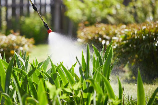 24/7 Emergency Mosquito Control experts in South Charleston, OH