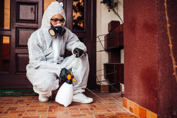 Reliable Mosquito Control contractor in South Charleston, OH by Show Me Pest Control