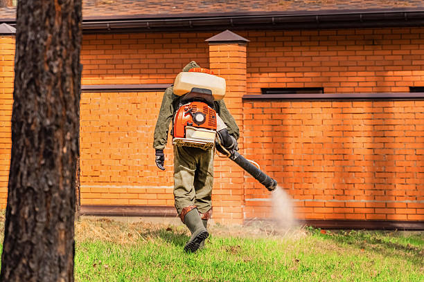 Top rated local Mosquito Control specialists in South Charleston, OH